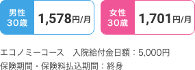 30歳の月額保険料例保険料払込期間終身